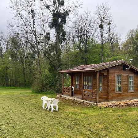 Le Domaine Des Oiseaux Villa Villers-sur-Port Dış mekan fotoğraf